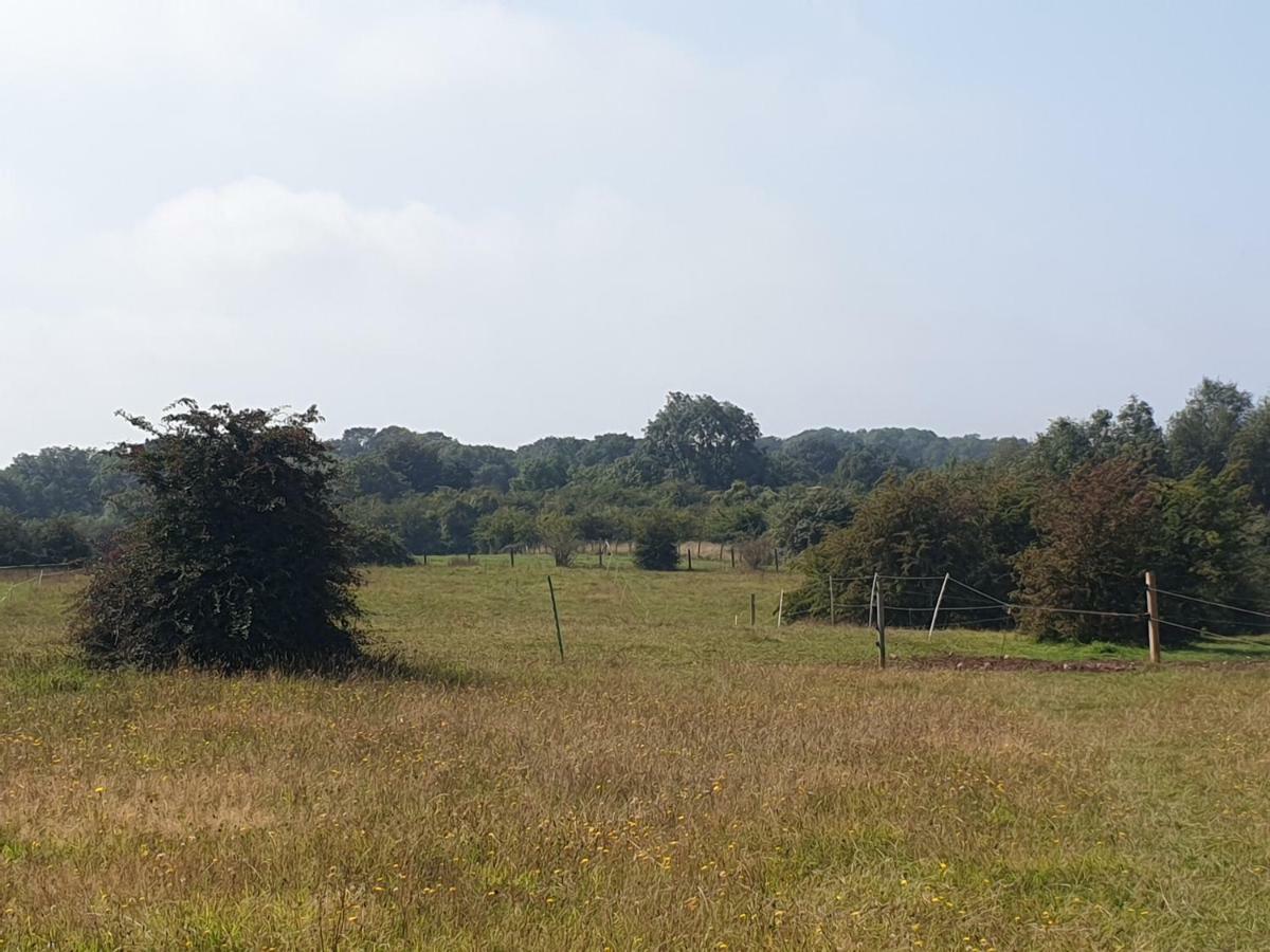 Open Acres Accommodation&airport Parking Maison d'hôtes *